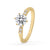 Gold round diamond ring with a side stone engagement ring style, perfect for special occasions and everyday elegance.