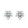 White Gold Stud Earrings