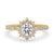 Round Halo Pave Engagement Rings